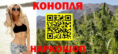сатива Бузулук