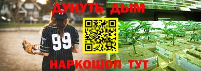 сатива Бузулук