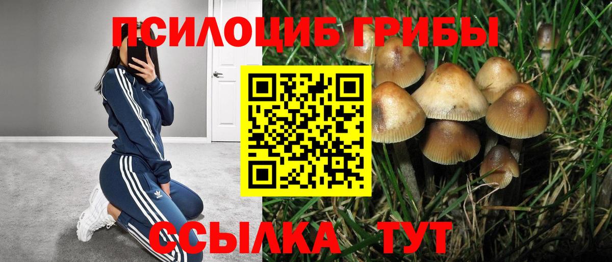 Скопин  Псилоцибиновые грибы Cubensis  Галлюциногенные грибы ЛСД  где купить наркотик  Вход с VPN 